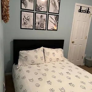 https://blabla-hostel-bunkbeds-room-3.1sthotelscharlotte.com